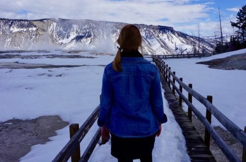 Mammoth Springs