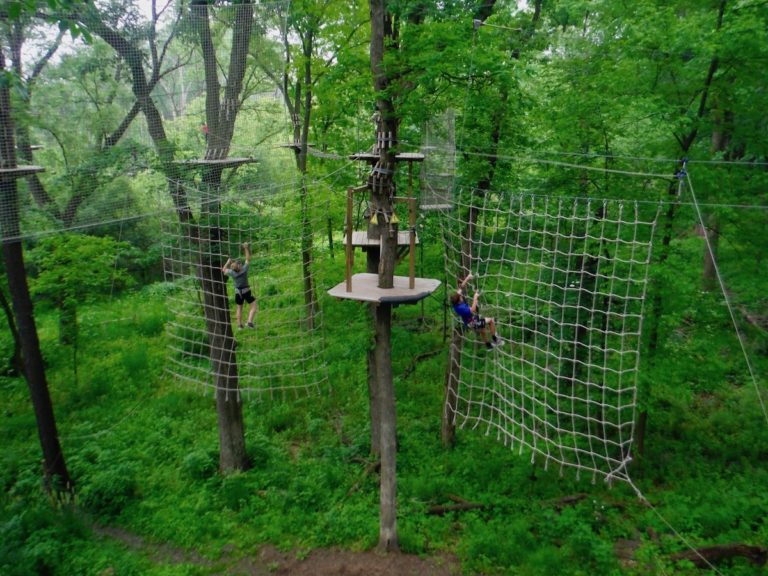 Go Ape Chicago