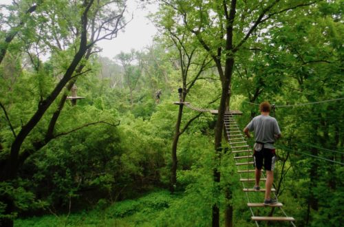Go Ape Chicago