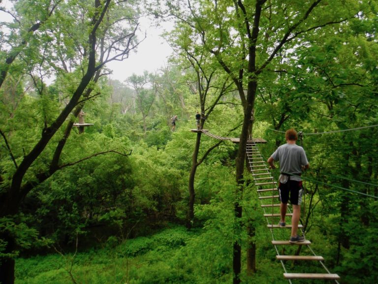 Go Ape Chicago