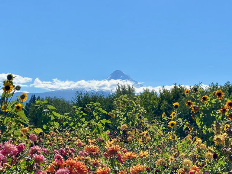 How to Spend Four Days in Oregon: Coast, Waterfalls, and Wine Trail