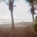 Beach Hopping