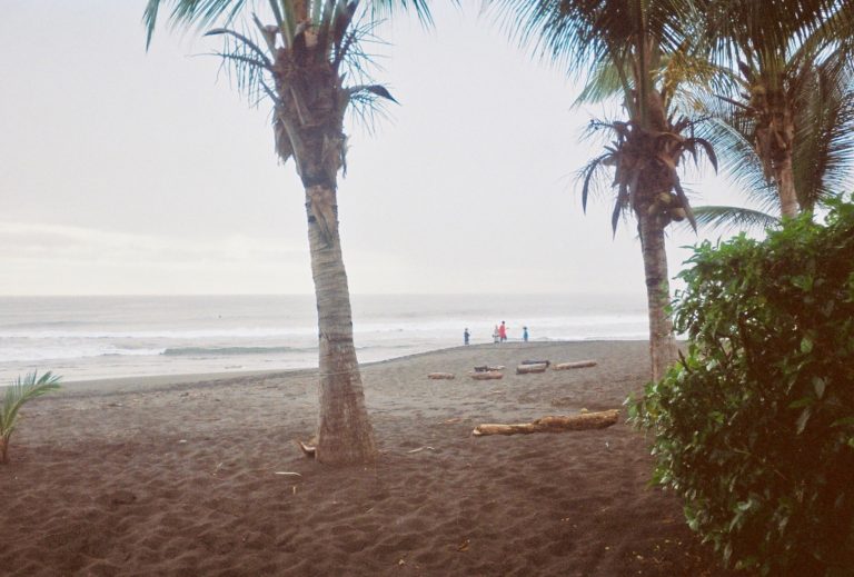 Beach Hopping
