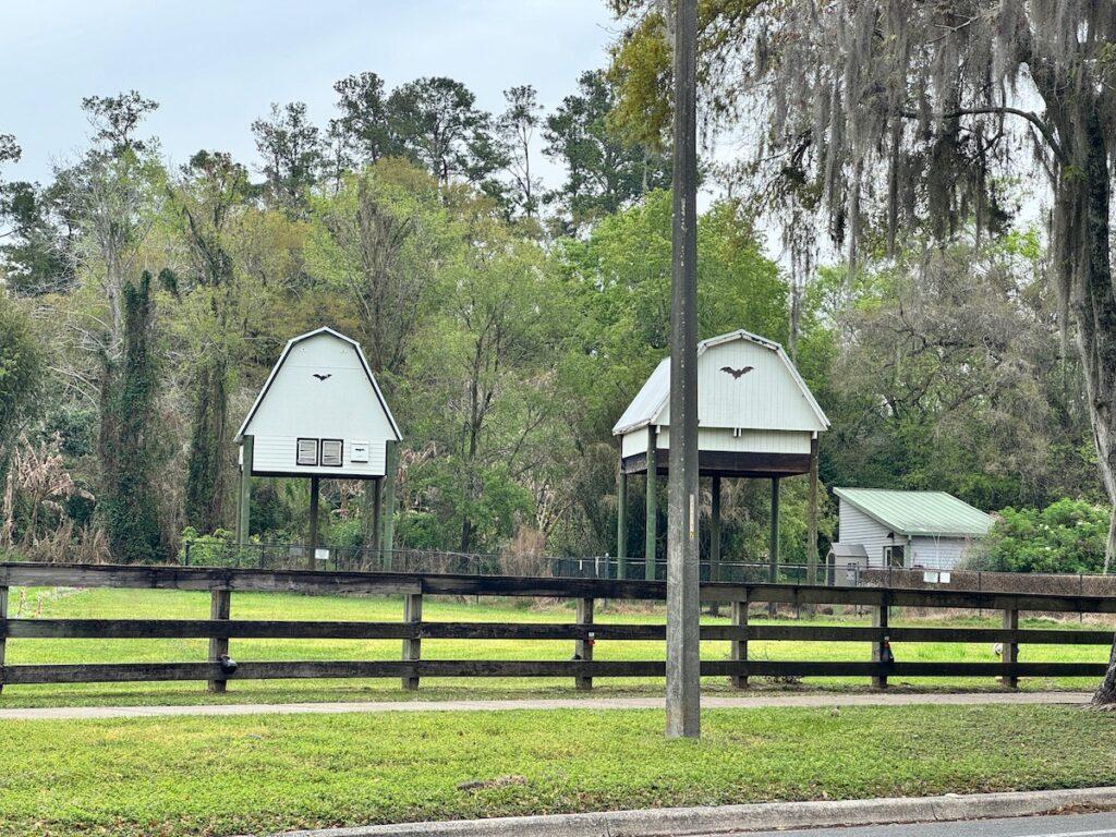 Lake Alice