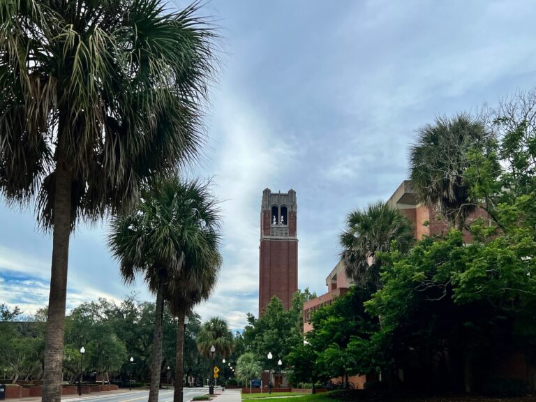 The University of Florida | Travel Tips
